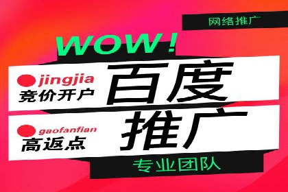 百度SEO推广案例：实战解析与效果展示