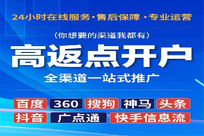 解析某某SEM服务公司的广告投放策略与效果评估